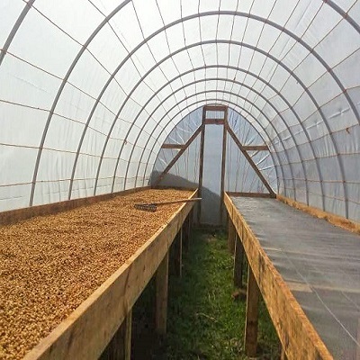 Greenhouse